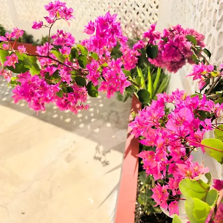 Casa Ancora Apartmán Vila Nova de Cacela