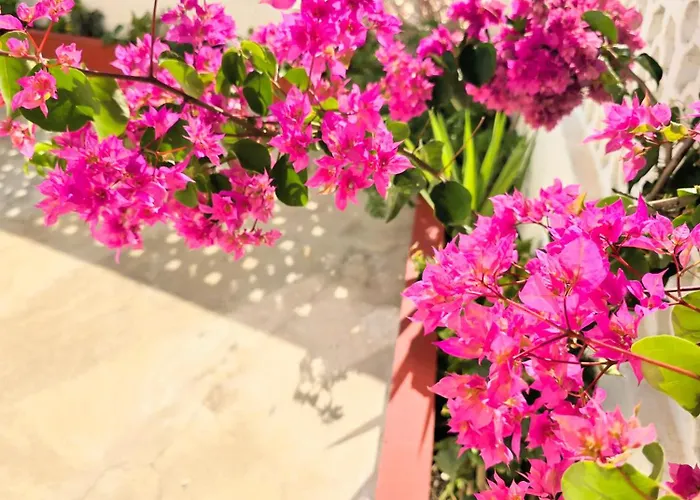 Casa Ancora 公寓 维拉诺瓦德卡塞拉